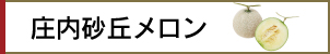 庄内砂丘メロン