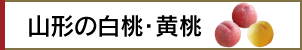 山形の白桃・黄桃