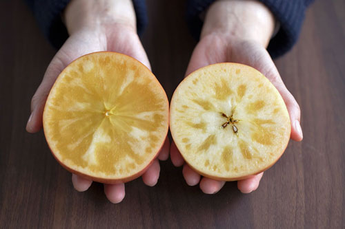 蜜リンゴこうとく　サンふじ　蜜入りリンゴ