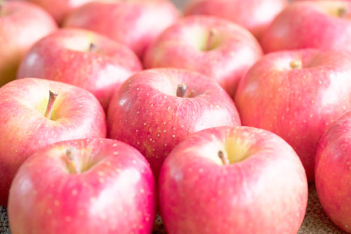 りんご　りんご保存法　りんごシャリ感