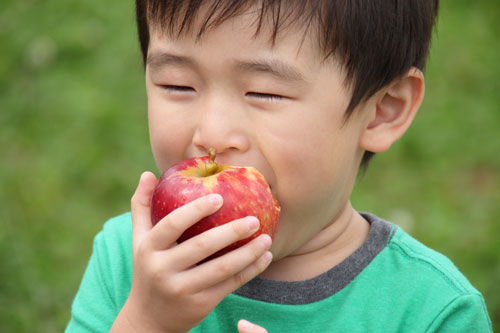 りんご成分　りんご栄養　りんご健康