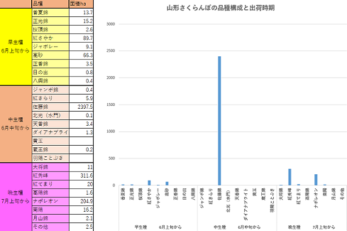 山形さくらんぼ　さくらんぼ品種構成