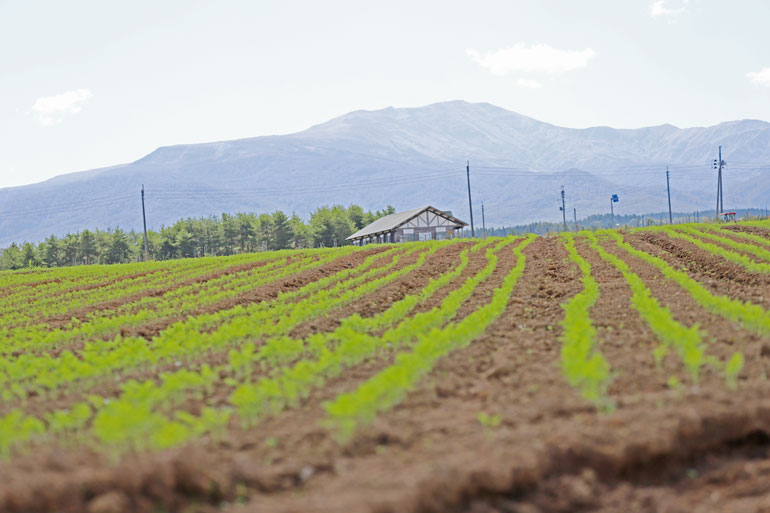 月山高原にんじん　赤土　人参ジュース