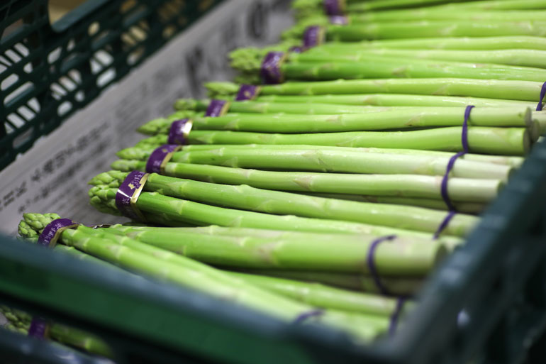 アスパラガス　美味しい野菜　野菜セット