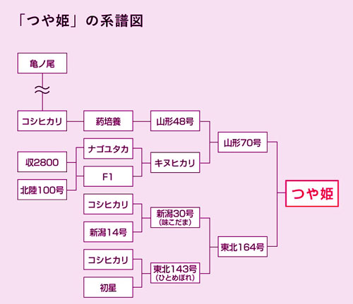 つや姫　コシヒカリ　亀の尾