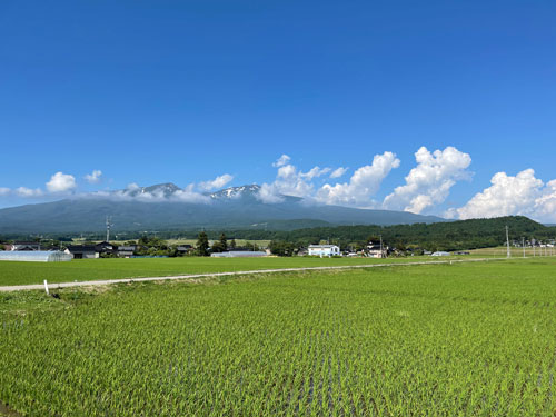 庄内平野　米作り　鳥海山