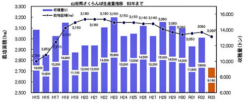 山形さくらんぼ生産量の推移