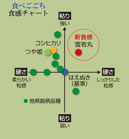 山形県産雪若丸 雪若丸