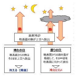 放射冷却メカニズム