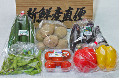 産直野菜　野菜セット通販