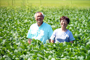 だだちゃ豆畑　だだちゃ豆生産者　だだちゃ豆