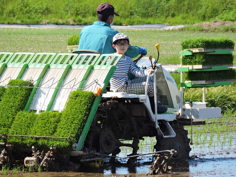 田植え　庄内平野