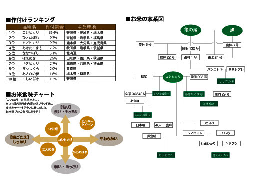 お米チャート図 庄内米