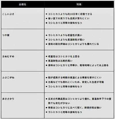 耐暑性比較