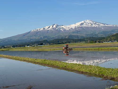 庄内平野の米作り 田植え前作業
