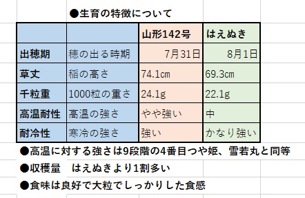 ゆきまんてん 山形142号