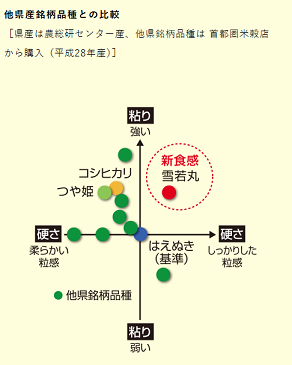 雪若丸チャート図