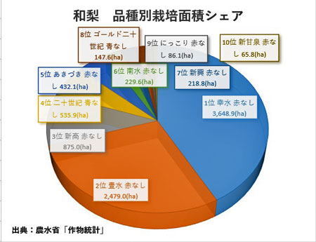 和梨の栽培面積 シェア