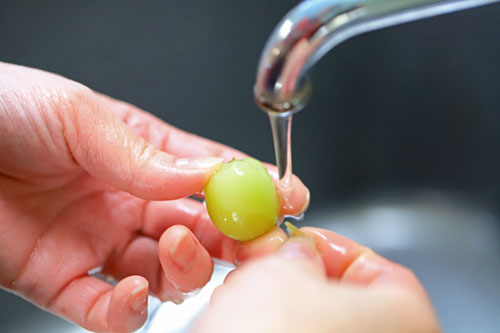 葡萄の保存方法 水洗い