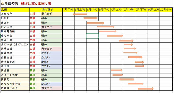 山形桃　硬さと出回り
