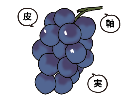 ぶどうチェックポイント