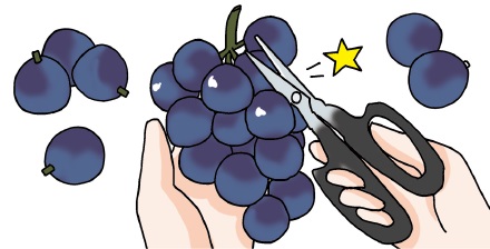 王粒ぶどう　保存方法　