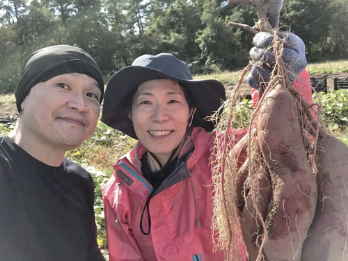 砂丘サツマイモ 宮野浦 庄内砂丘