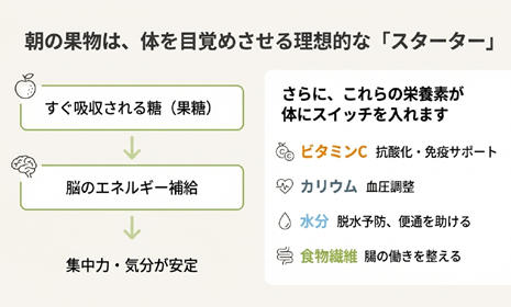 朝フルーツ 朝くだもの