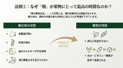 朝フルーツ　朝くだもの