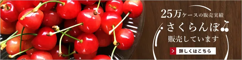 25万ケースの販売実績　さくらんぼ販売しています
